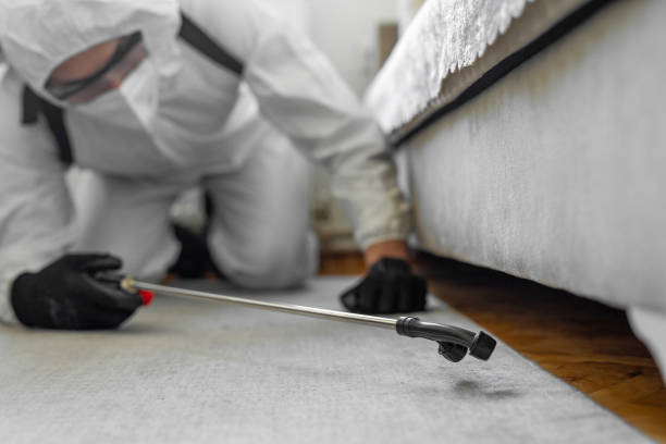 Professional Mosquito Control technician working in Lakewood, WA