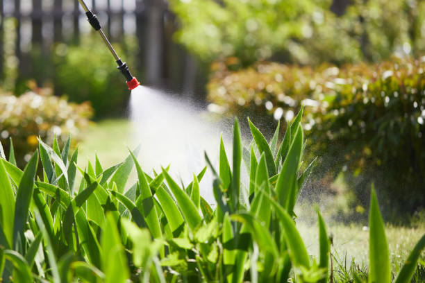 24/7 Emergency Mosquito Control experts in Lakewood, WA