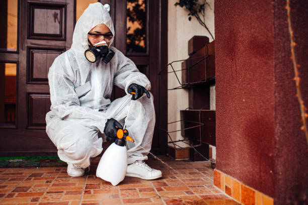Reliable Mosquito Control contractor in Lakewood, WA by Nex Pest Control